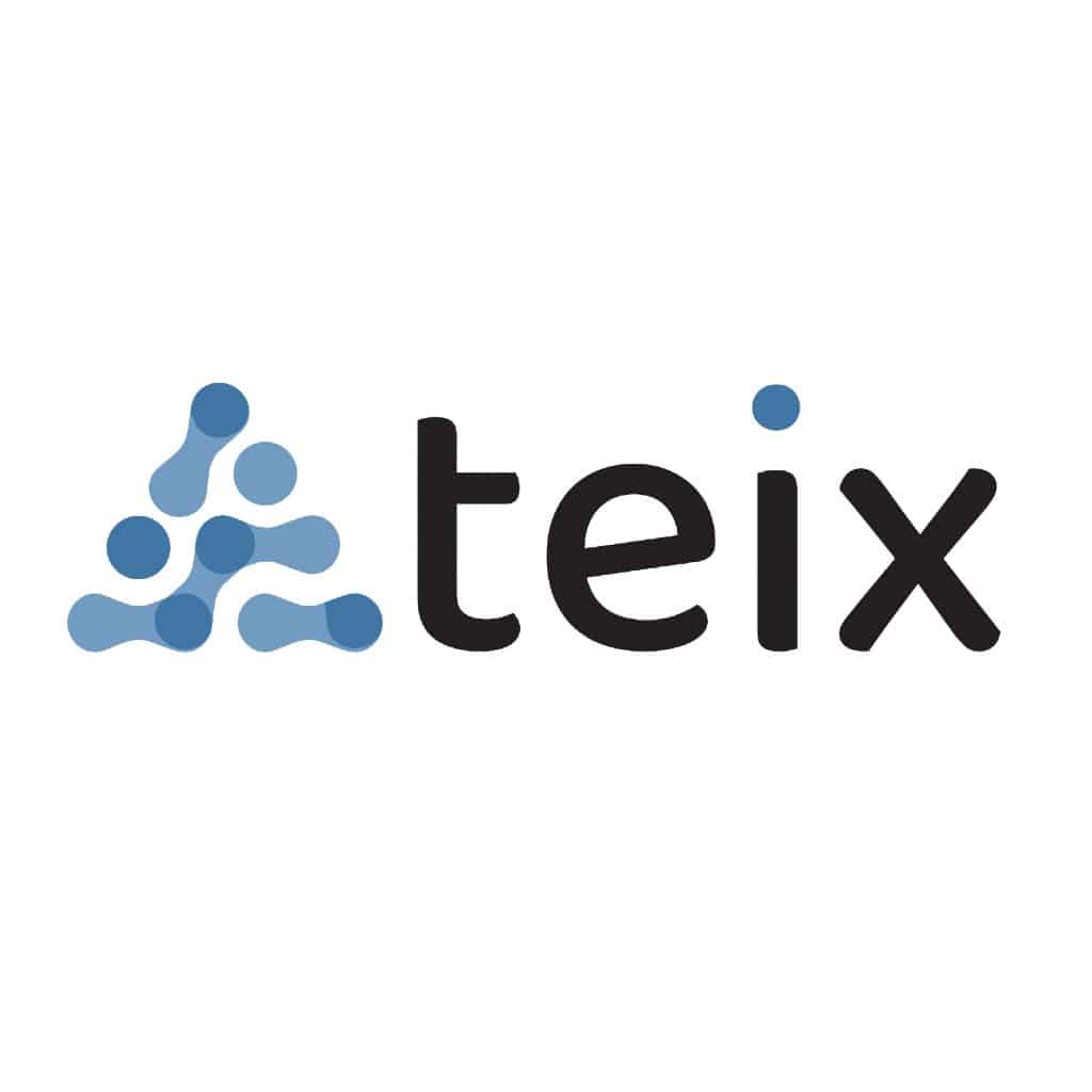 logo teix2020